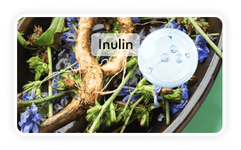 Trimology Weight™ Chicory Root Inulin