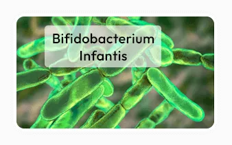 Trimology Weight™ Bifidobacterium infantis